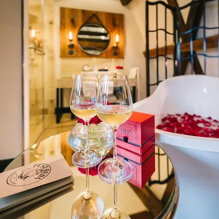 Hotel Pest-buda Design 4*
